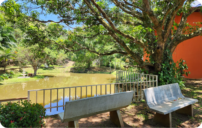 Banco ao lado do lago